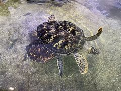 -鸿通城购物中心