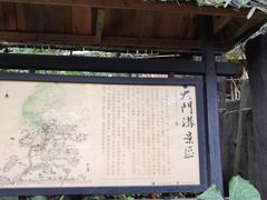 景点-天门沟九州驿站树上汤泉