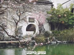 -艺圃