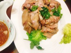 猪蹄-李家猪蹄融合菜馆(河松街店)