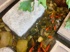 -邈墨茶馆(大兜路1号店)
