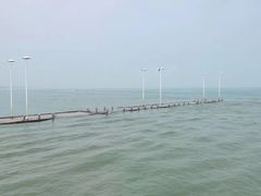 -日照世帆赛基地