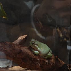 -Zoolung Zoolung动物主题公园(海信广场店)