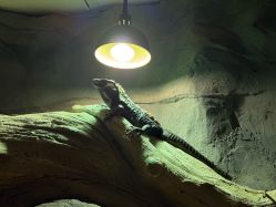 -Zoolung Zoolung动物主题公园(海信广场店)