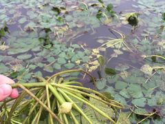 -秋月舫(阳澄湖湖滨中路店)