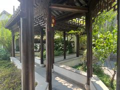 -芥子园