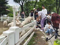 -哈尔滨北方森林动物园