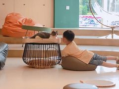 -飞行喵MR PILOT|猫舍·猫咖(静安大融城店)