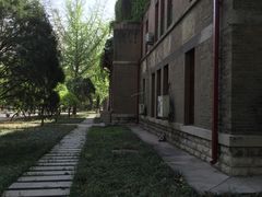 小径-山东大学(趵突泉校区)