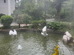 -广富林宰相府酒店·水云间