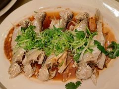 -沙龙酒家