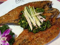 -香巴拉云南餐厅(华莱坞店)