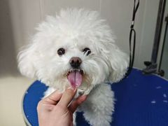 -心仪动物医院·牙专科·肿瘤·心脏科(西客站院)