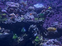 -海合安天津极地海洋公园