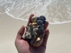 -环滩岛