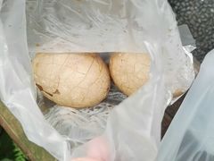 -金盆阿嬷香菇茶叶蛋(玄光店)