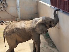 -西霞口神雕山野生动物世界