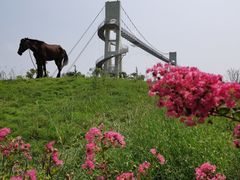 -武汉紫薇都市田园