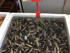 -蚝专家(北滘店)