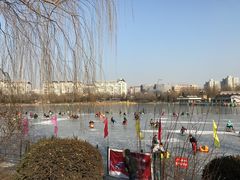 -紫竹院公园冰场