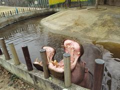 -常州淹城野生动物世界