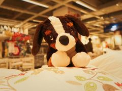 -宜家家居(西安未央商场店)