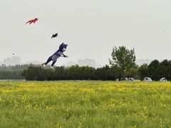 -汉长安城未央宫国家考古遗址公园