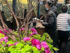 -杏花村水席楼·洛阳水席(老城十字街店)