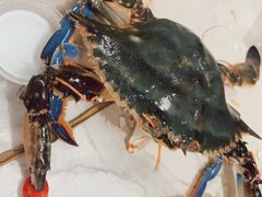 -藜爱·山海情海鲜自助(万达广场店)