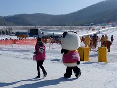 -中旅松花湖滑雪场