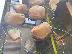 -乐尚音乐空间·钢琴·声乐·架子鼓(会展中心店)
