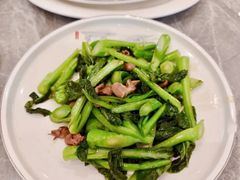 -朱记乳鸽王·非遗石岐乳鸽·全鸽宴(大兴旗舰店)