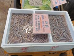 -荔城生鲜盛宴(番禺旗舰店)