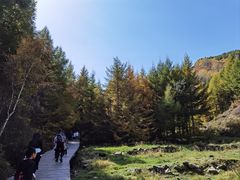-苏木山森林公园