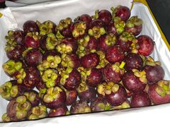 -东方鼎信农副产品交易中心