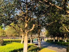 -白塘生态植物园