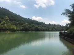 -广州白江湖森林公园