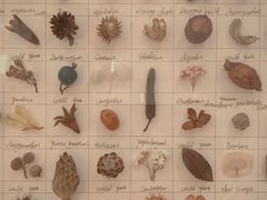 -二酉书店TOYOU BOOKS