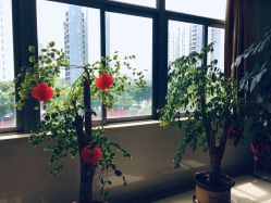 -东莞台心医院-医疗美容