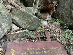 -海南热带雨林国家公园吊罗山景区
