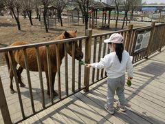 -北京鹿世界主题园