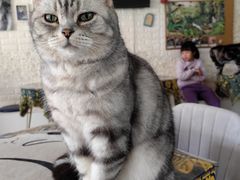 -平行世界·猫咖(首经贸店)