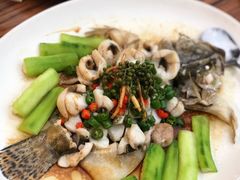 鲜花椒蒸桂花鲈-猪肉婆私房菜(容桂总店)