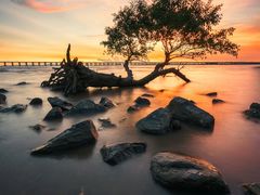 -宝安西湾红树林湿地公园