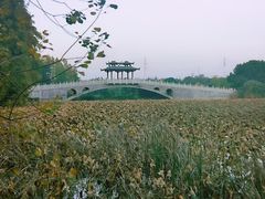 -东湖落雁景区