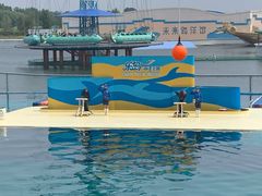 -秦皇岛乐岛海洋王国