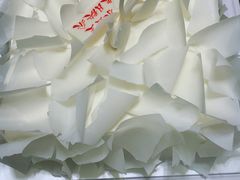 -BLACKSWAN黑天鹅(环球店)