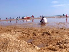 -前王院•巧克力海鲜市集餐厅(万平口店)