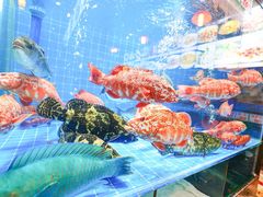 -叶氏大快活酒楼·佛山老字号