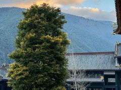 -冕宁灵山寺